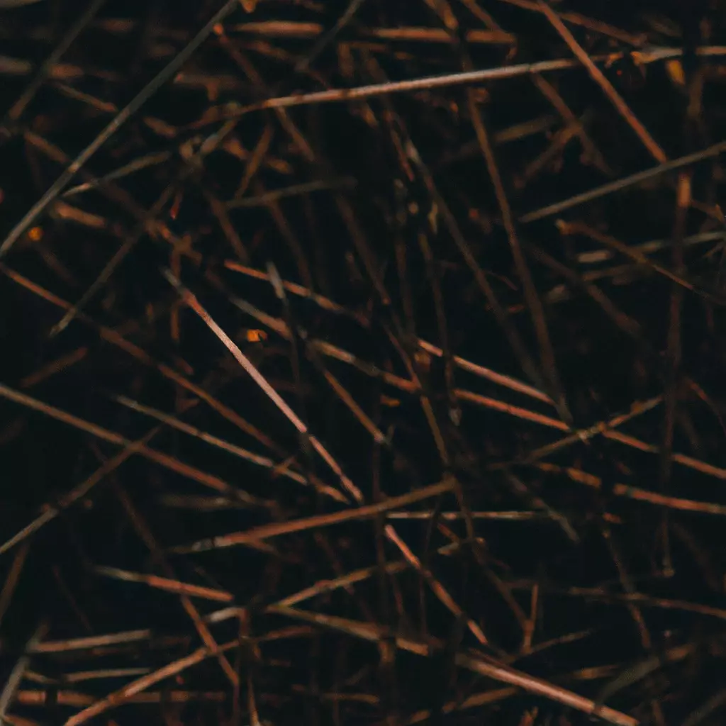 User banner