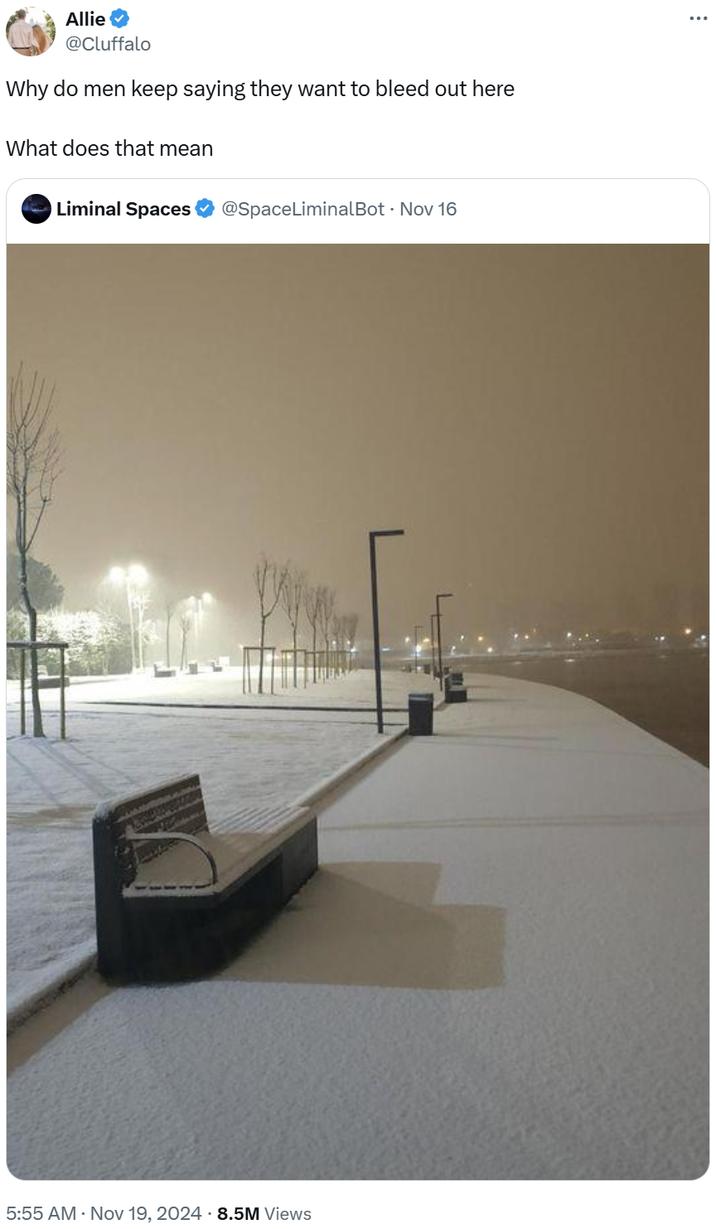 twitter caption "Why do men keep saying they want to bleed out here what does that mean" over a picture of a desert urban area at night covered in fresh snow