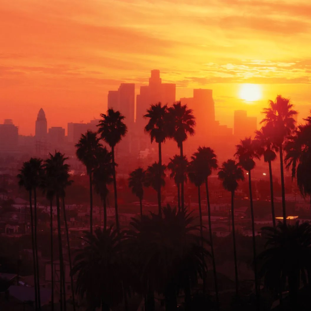 User banner