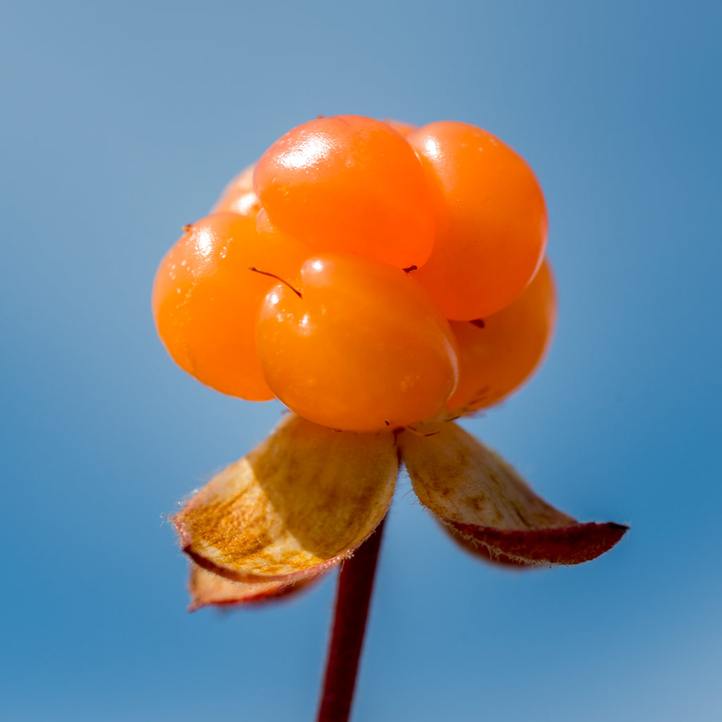 User banner