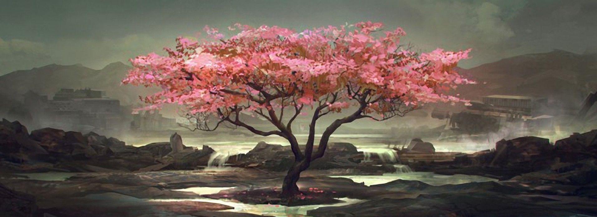 User banner