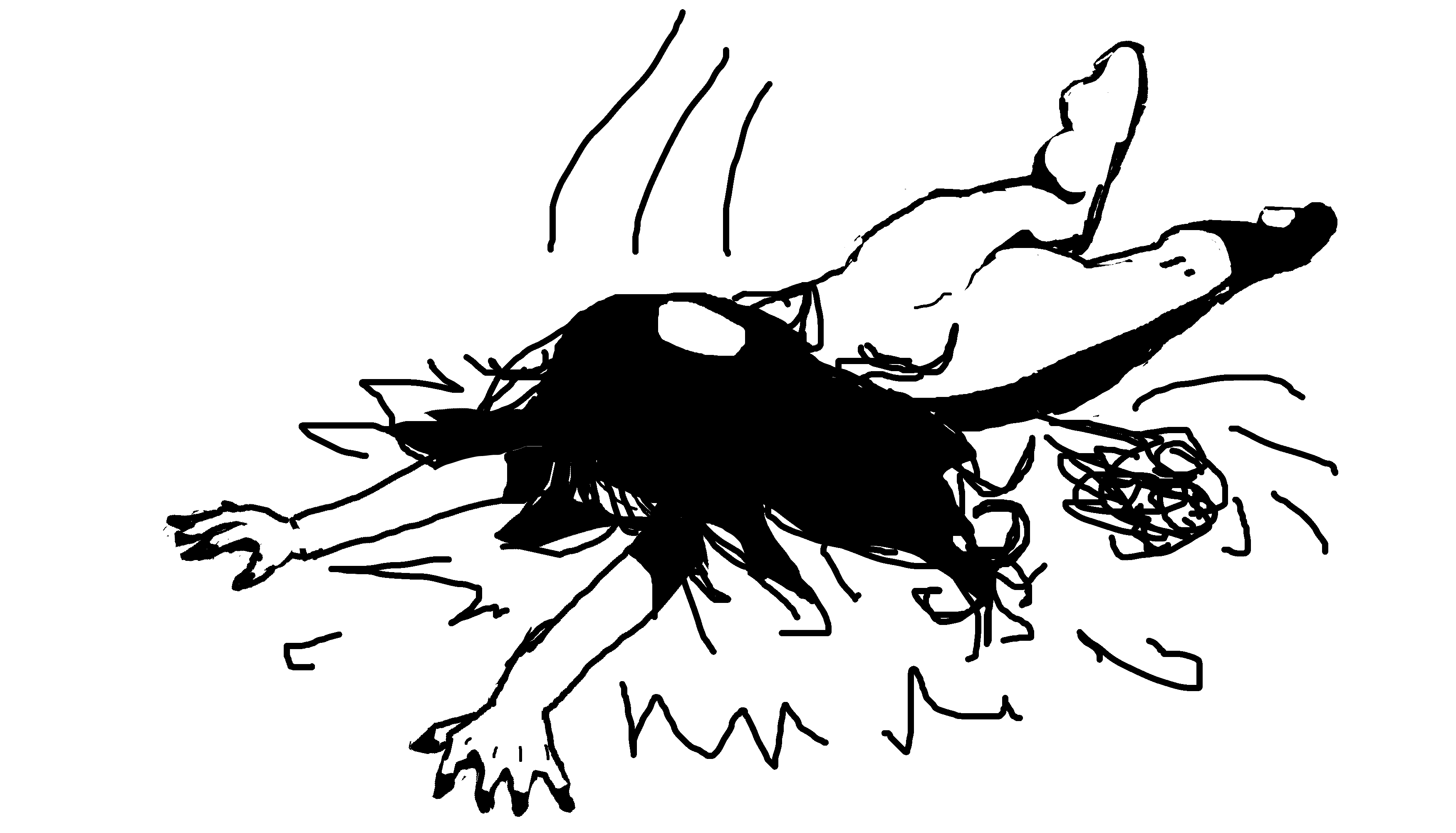 User banner