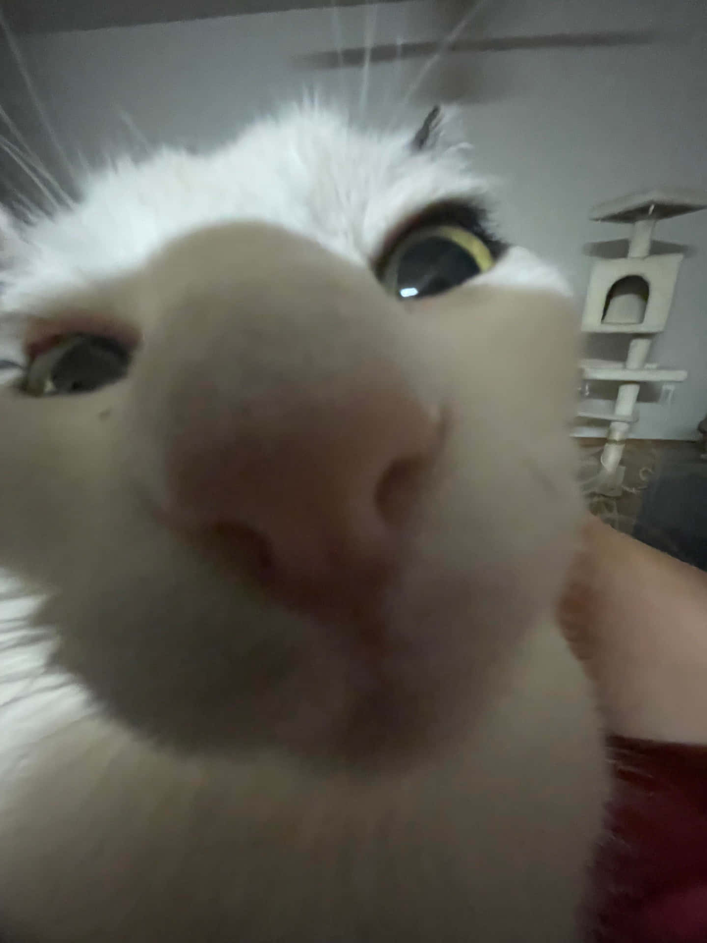 User banner