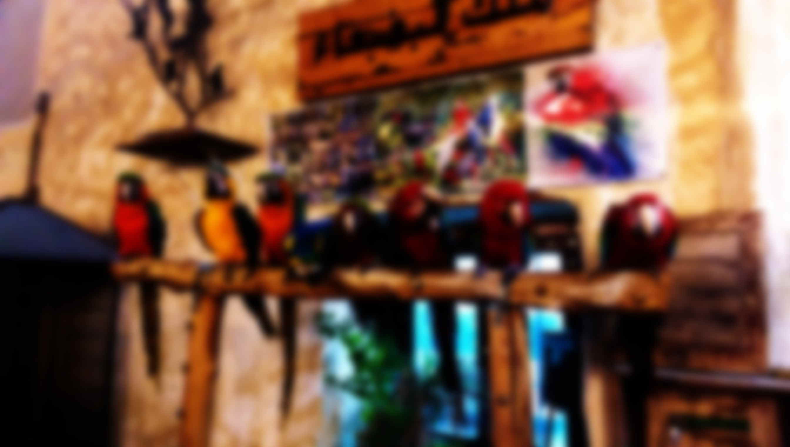 User banner