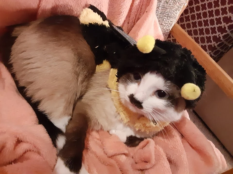 User banner