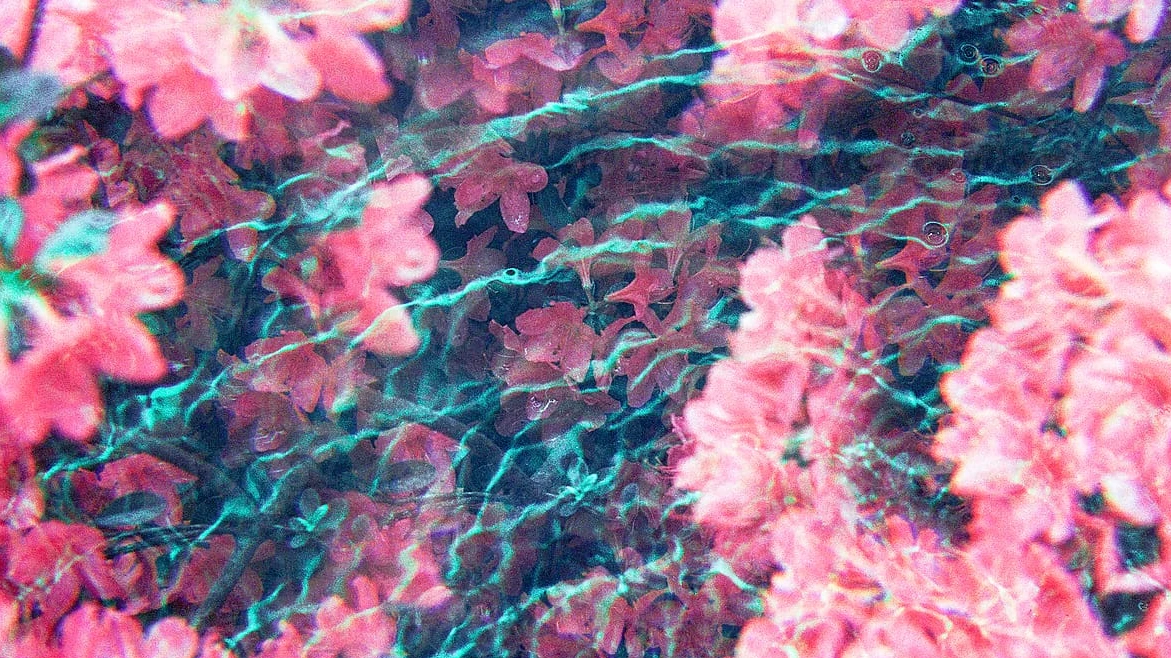 User banner