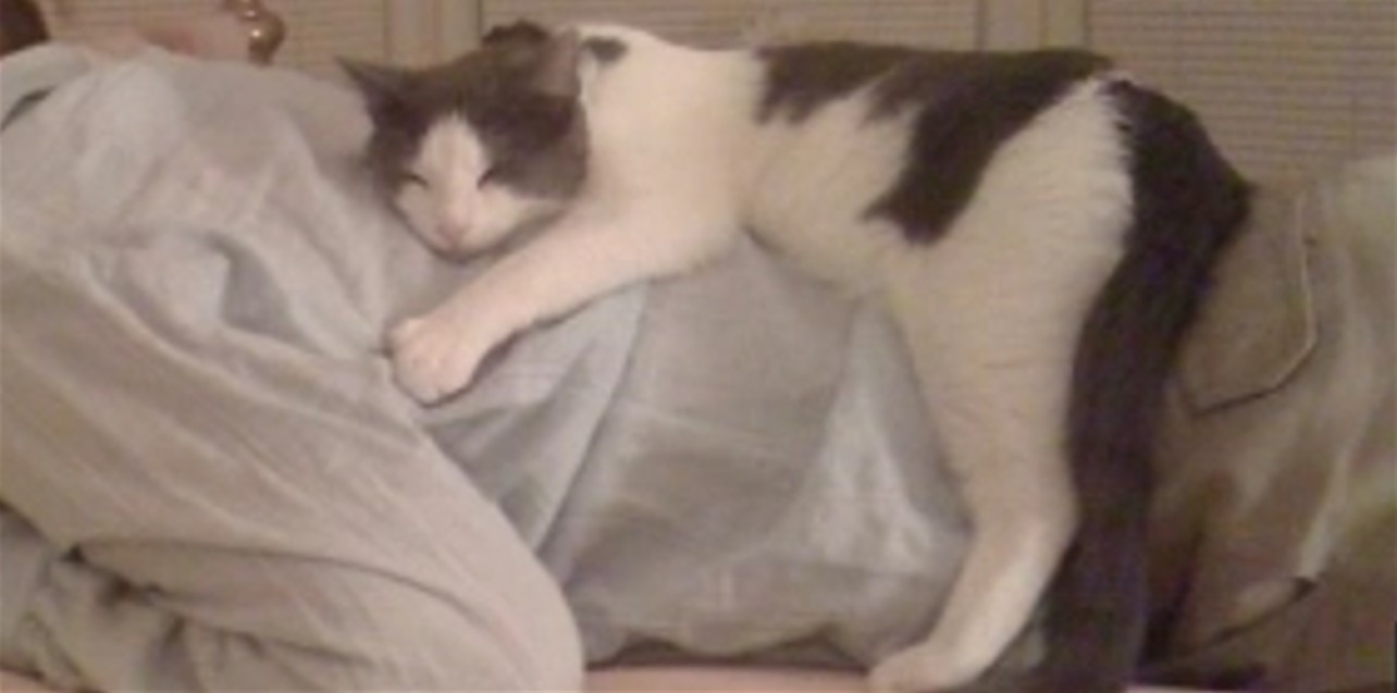 User banner