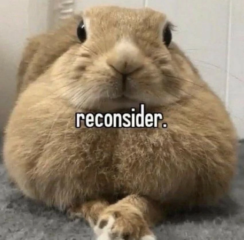 photo of a large bunny looking straight at the camera with the text "reconsider." superimposed on top