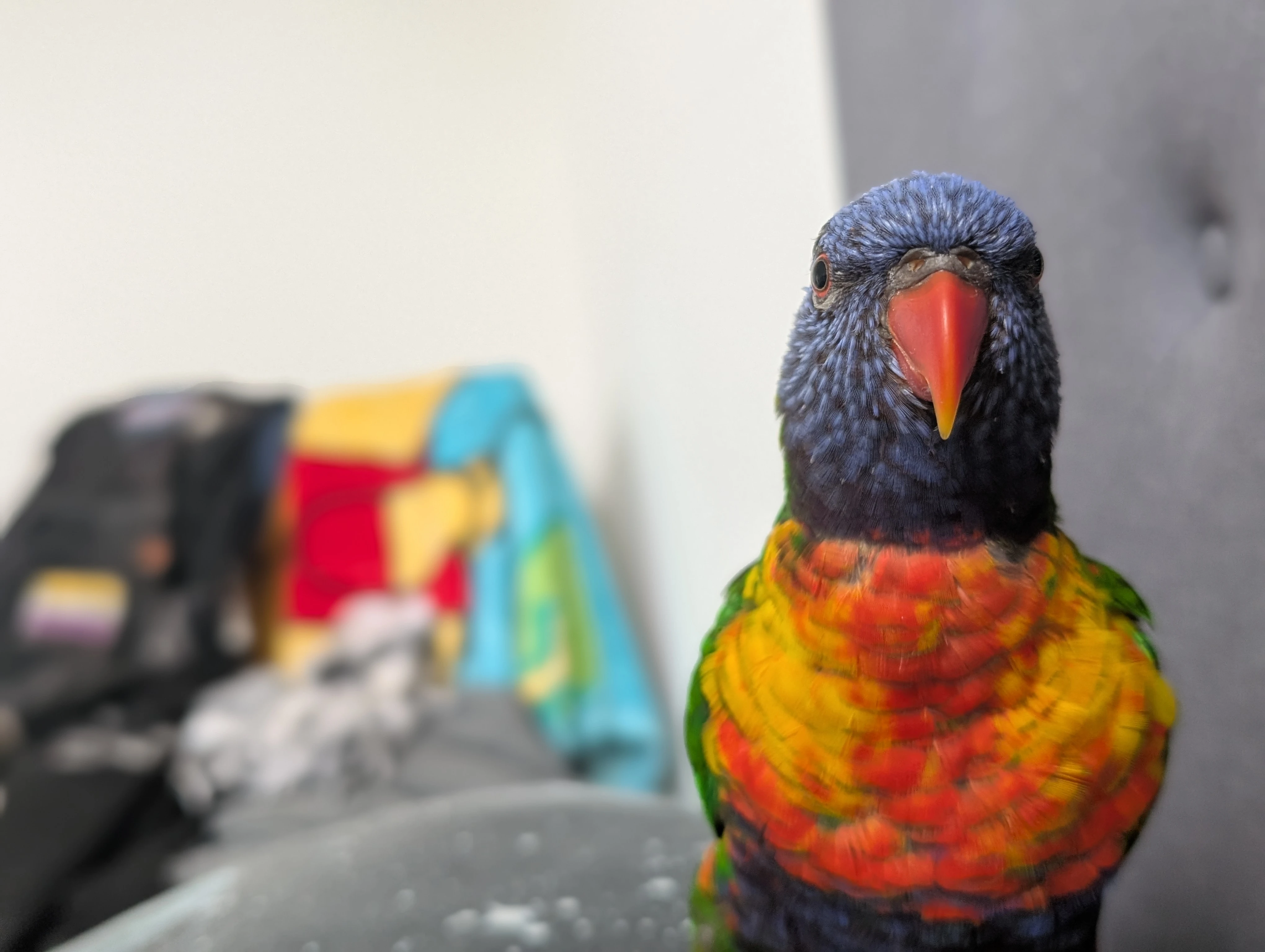 User banner