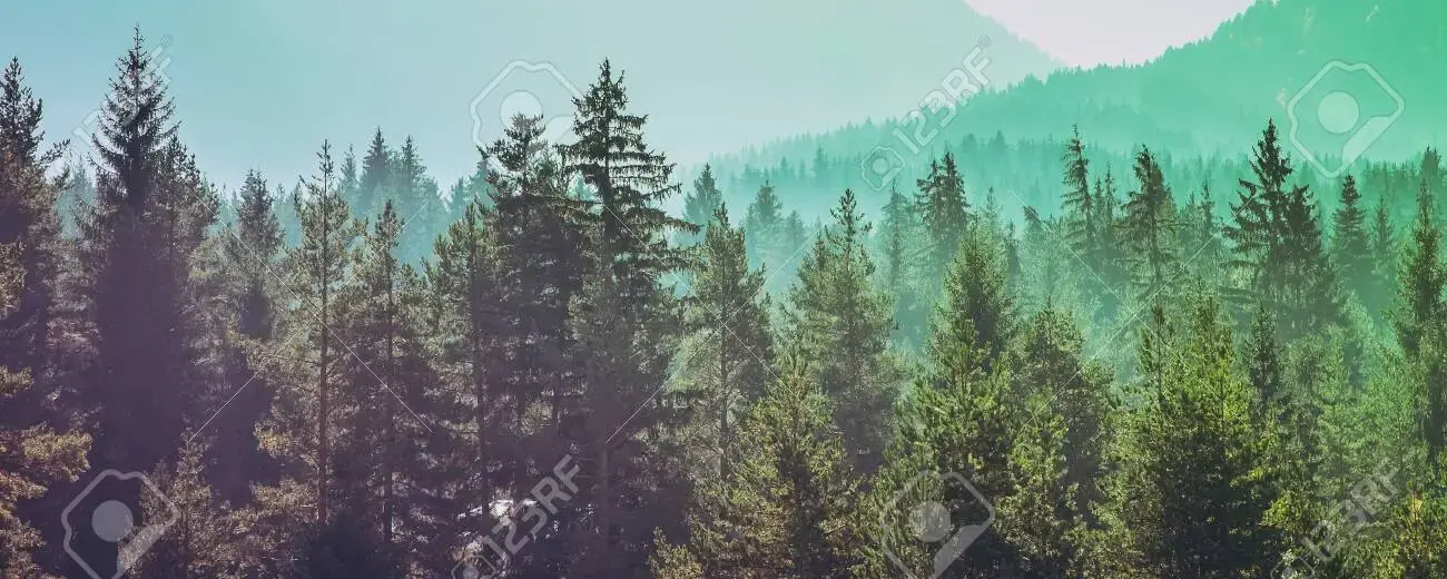 User banner