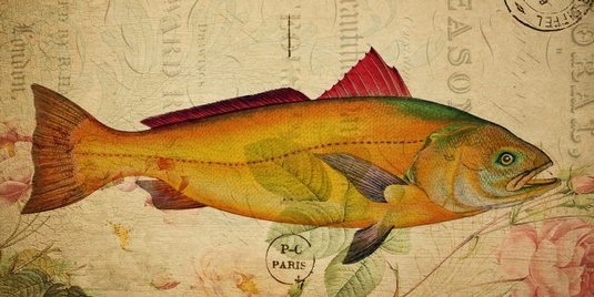 User banner