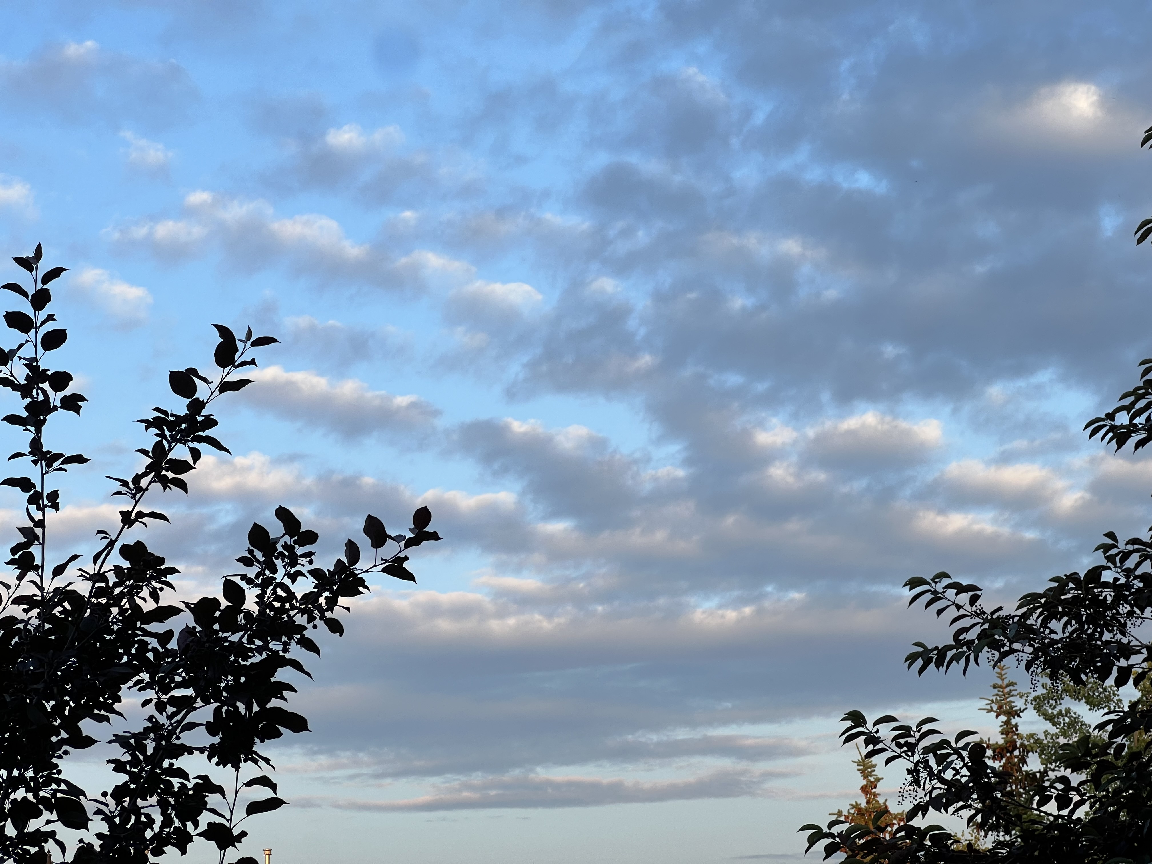 User banner