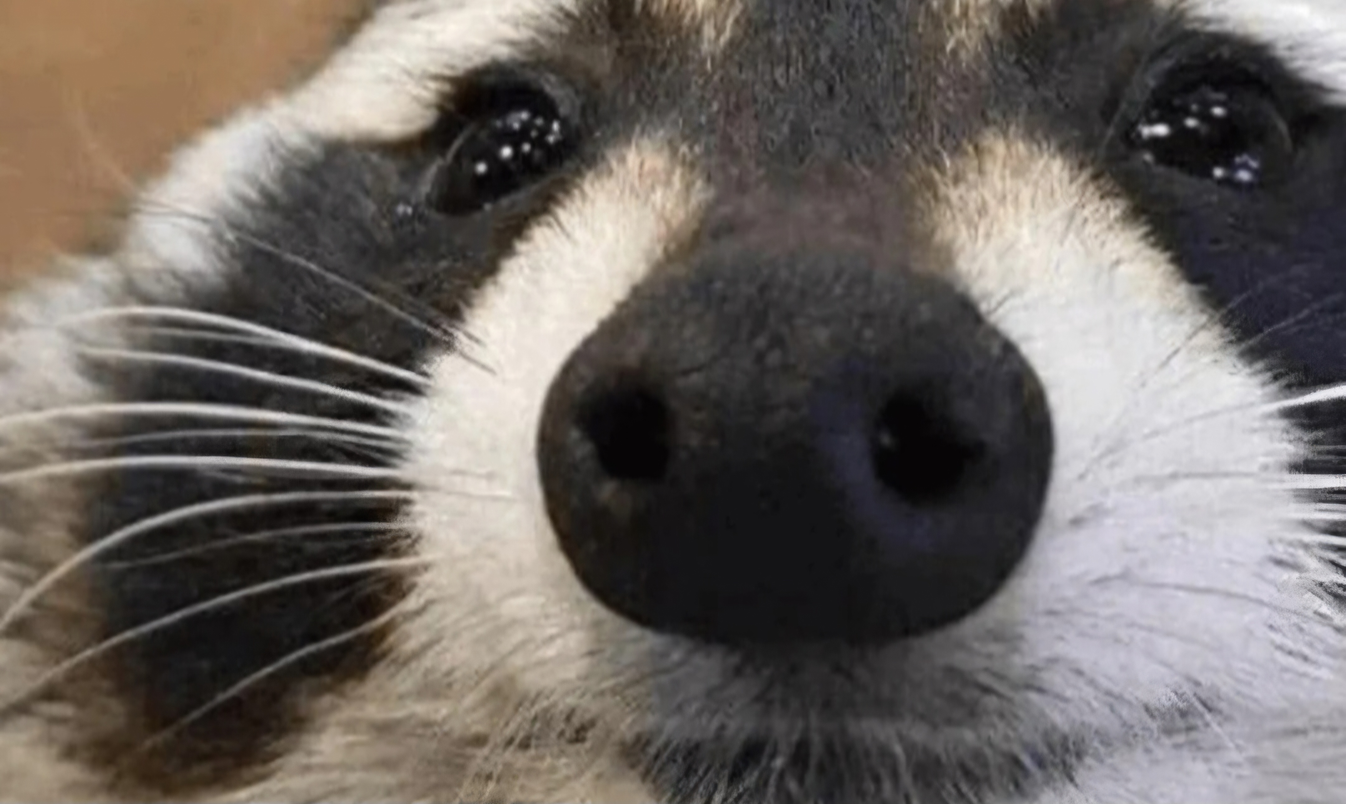 User banner