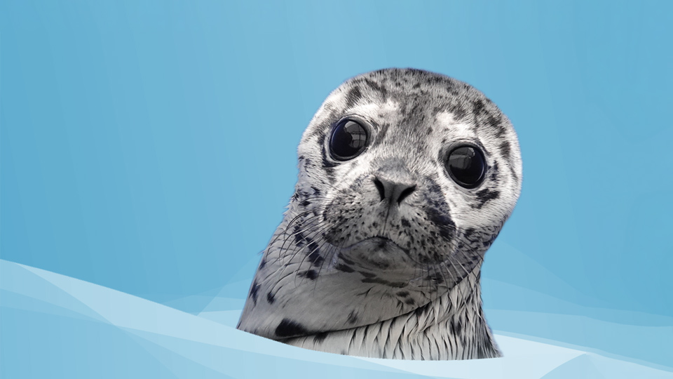 User banner
