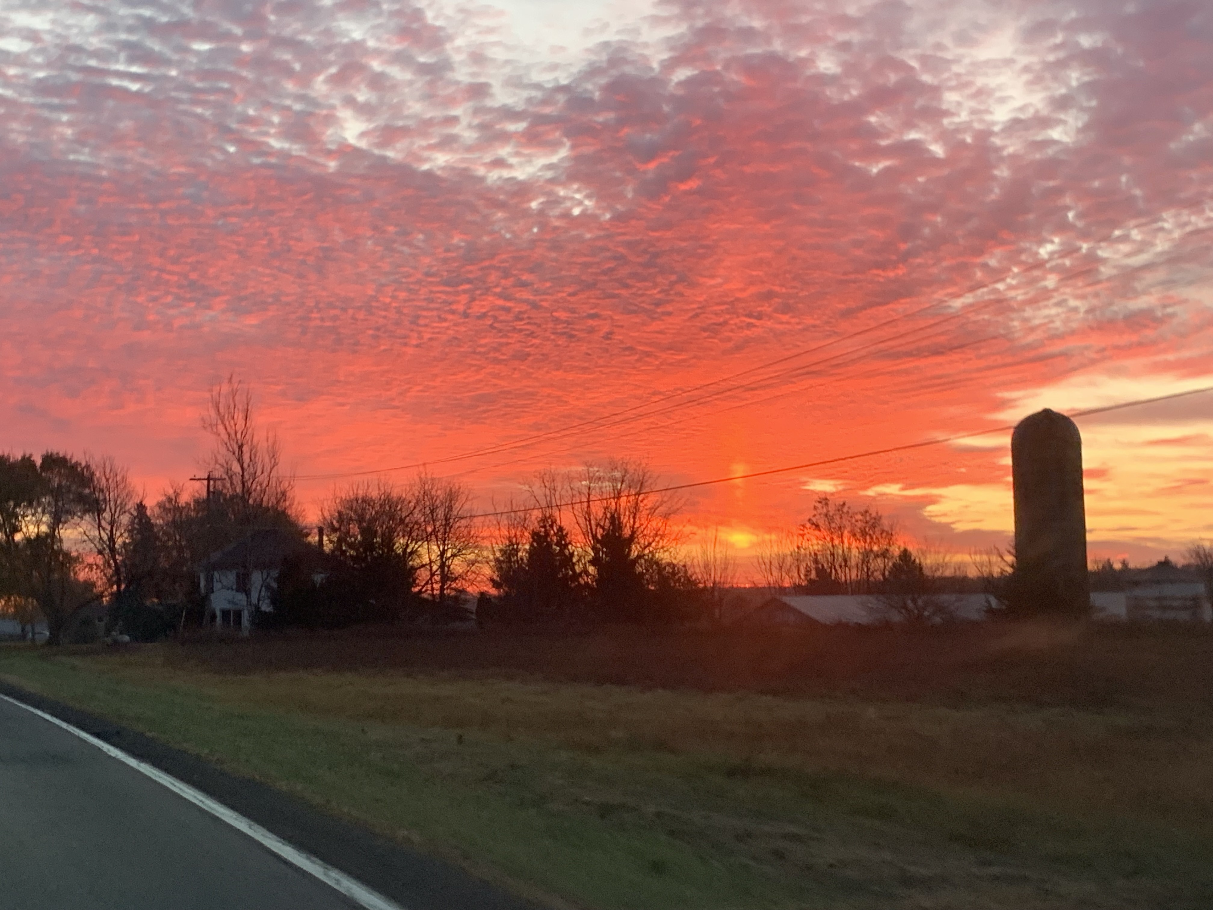 User banner