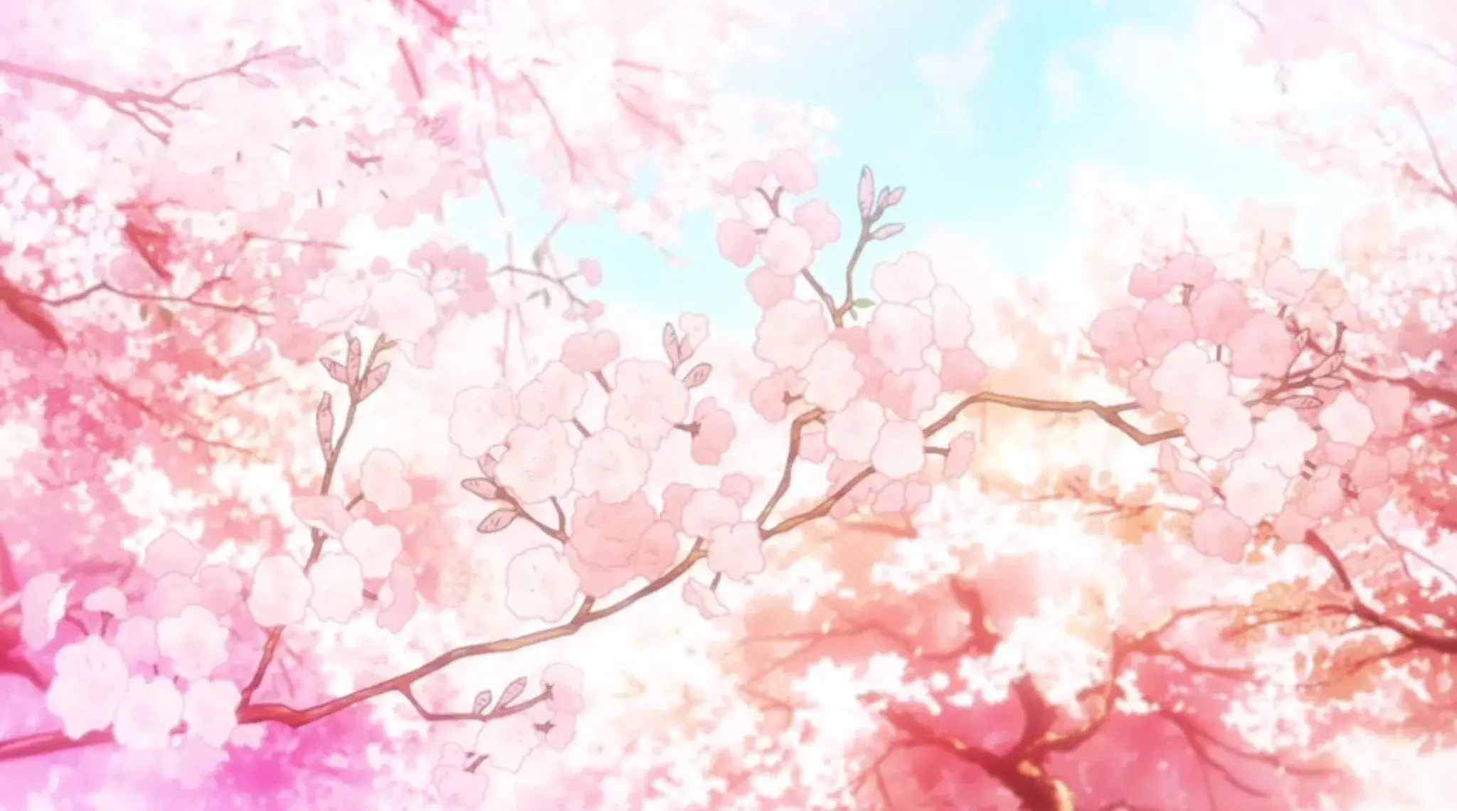 User banner