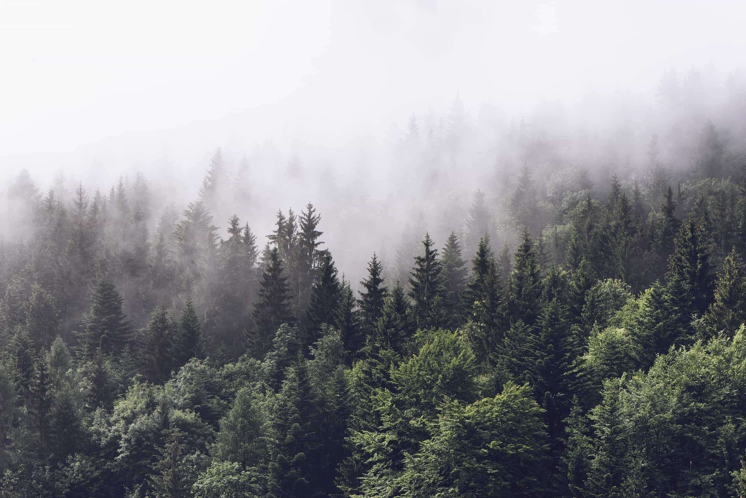User banner