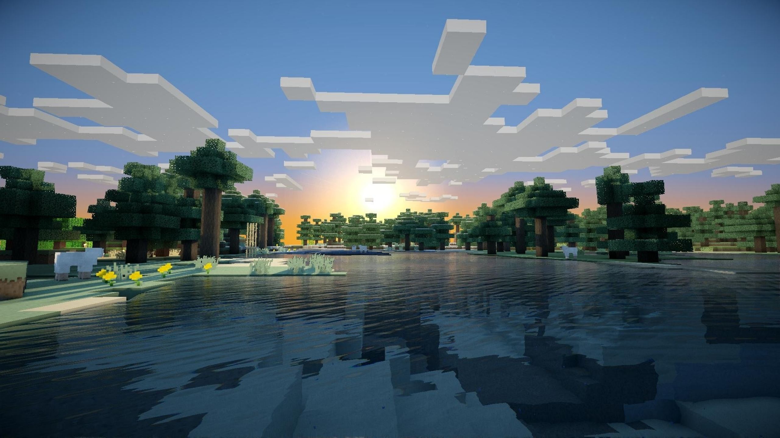User banner