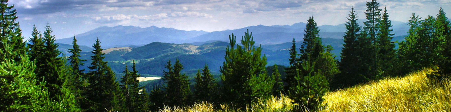 User banner
