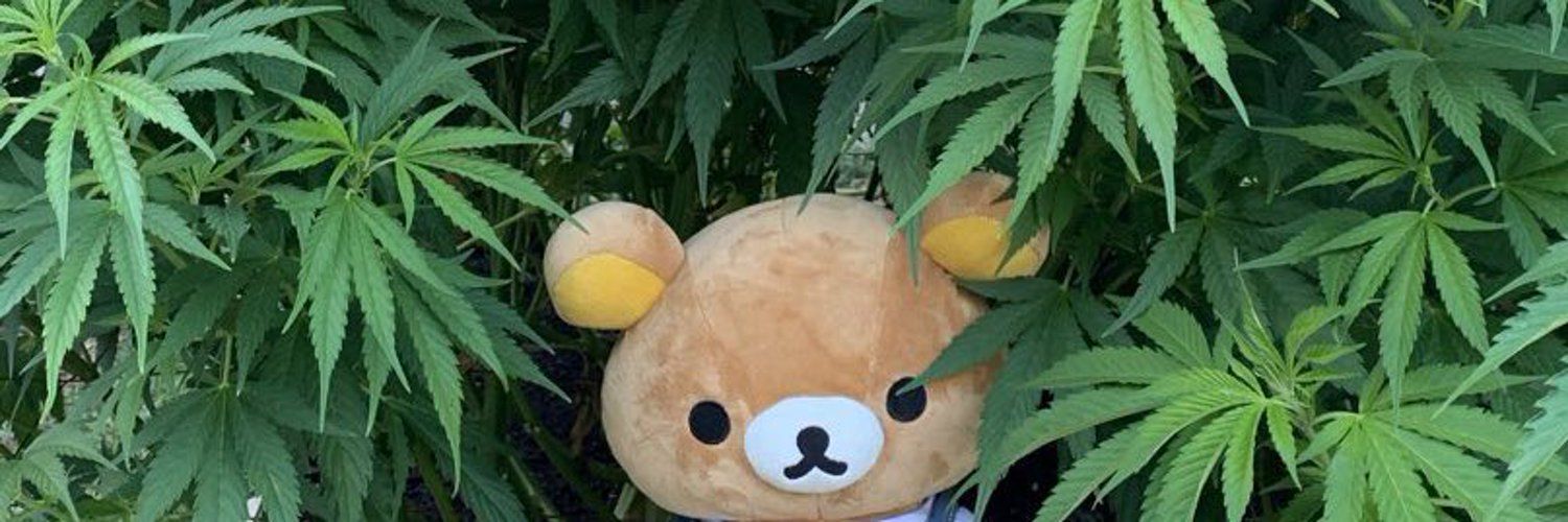 User banner