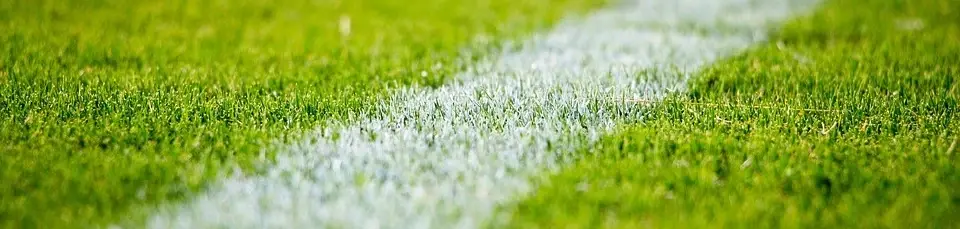 User banner
