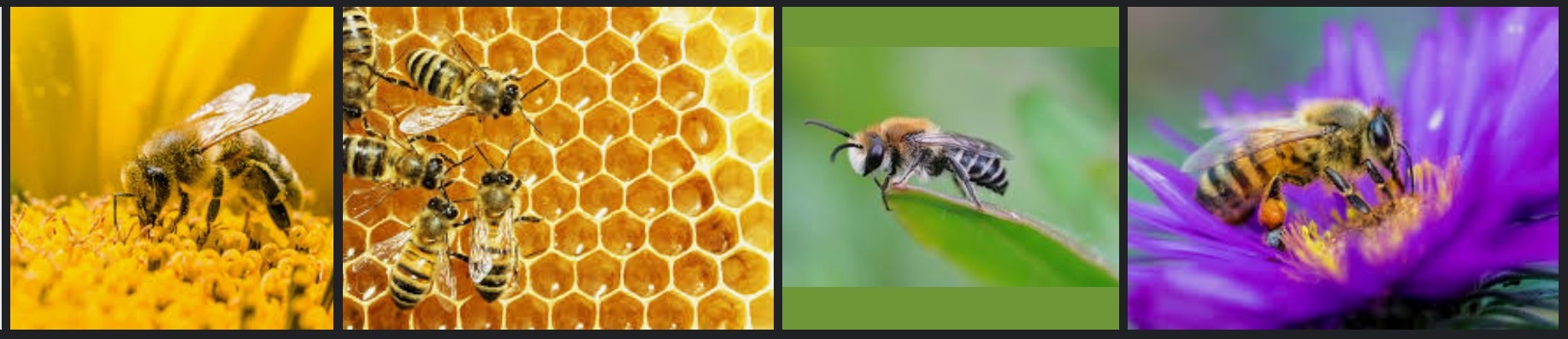 User banner