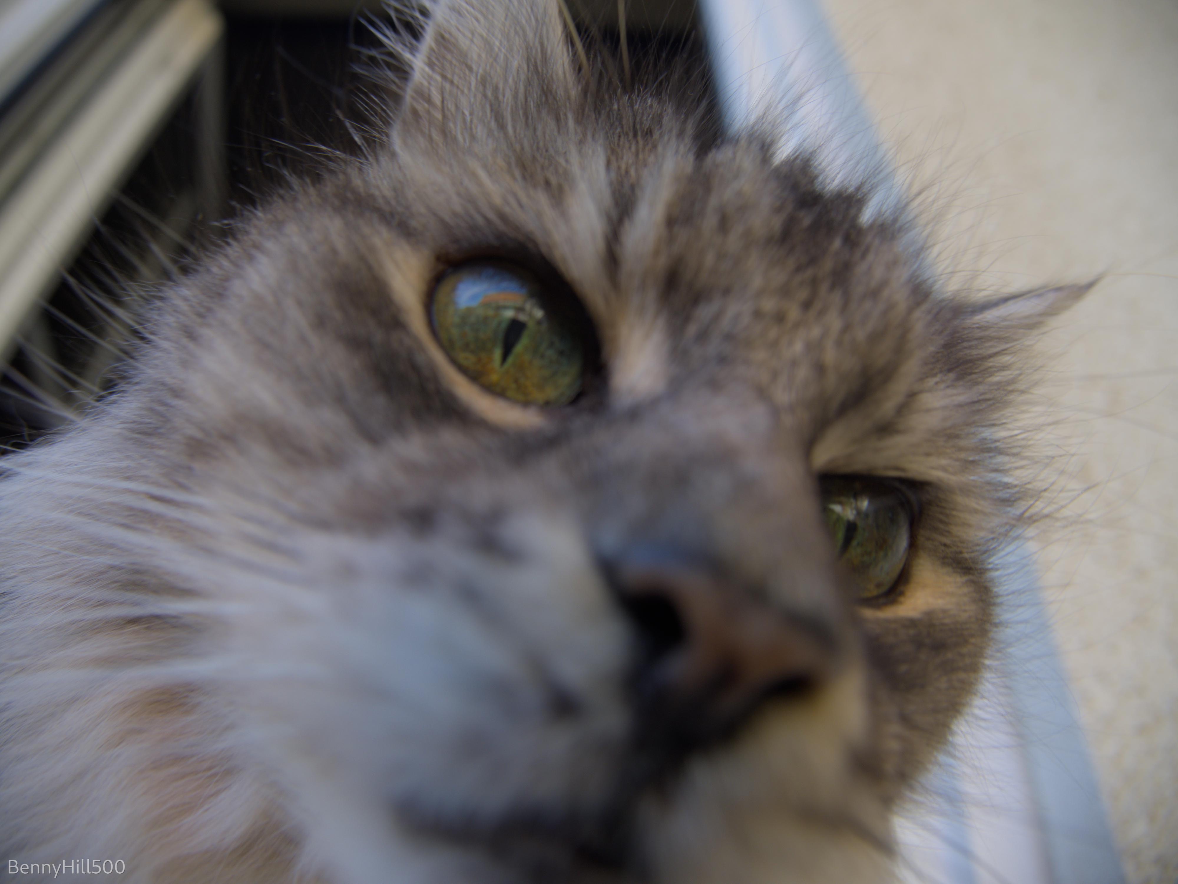 User banner