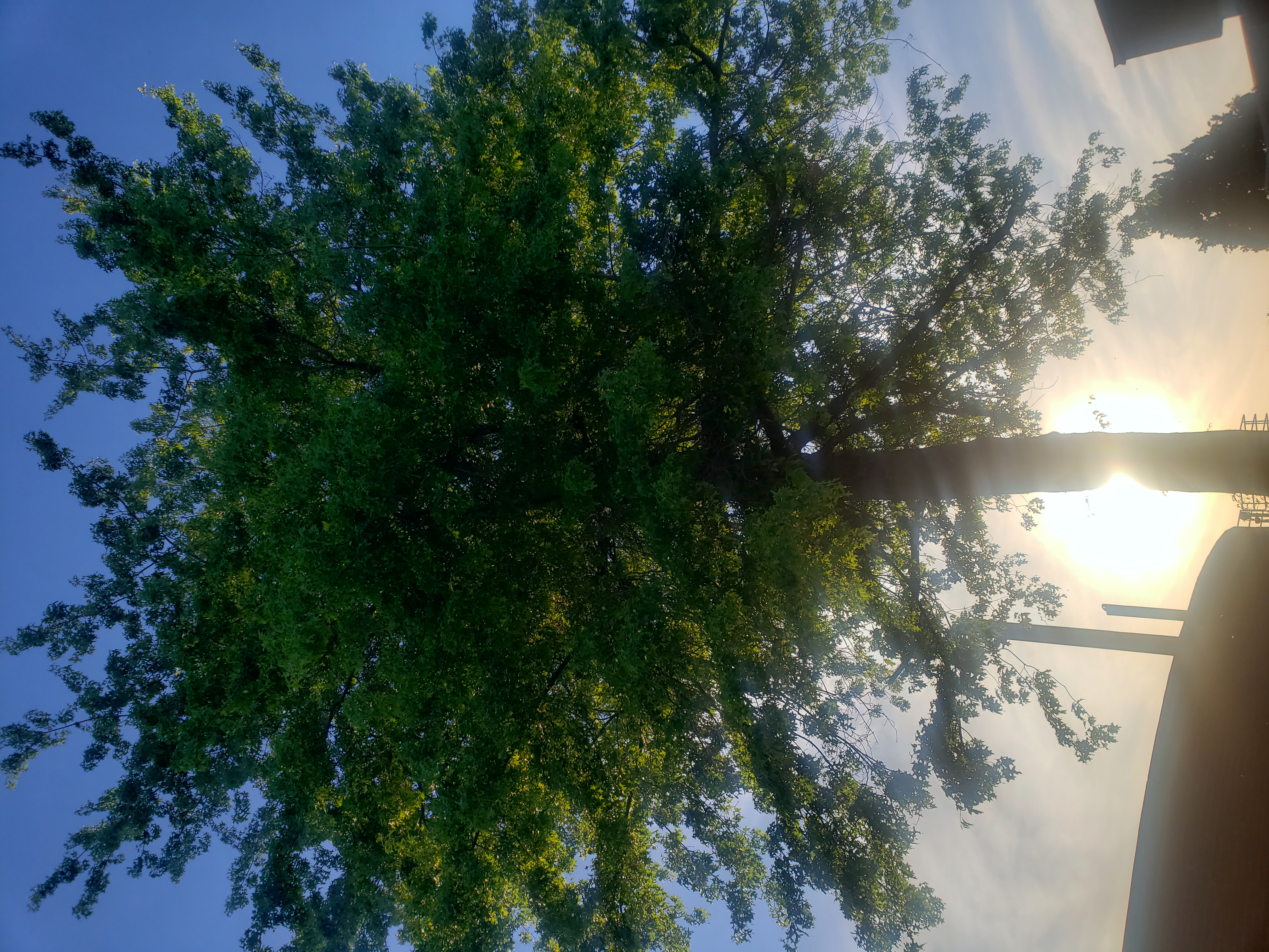 User banner