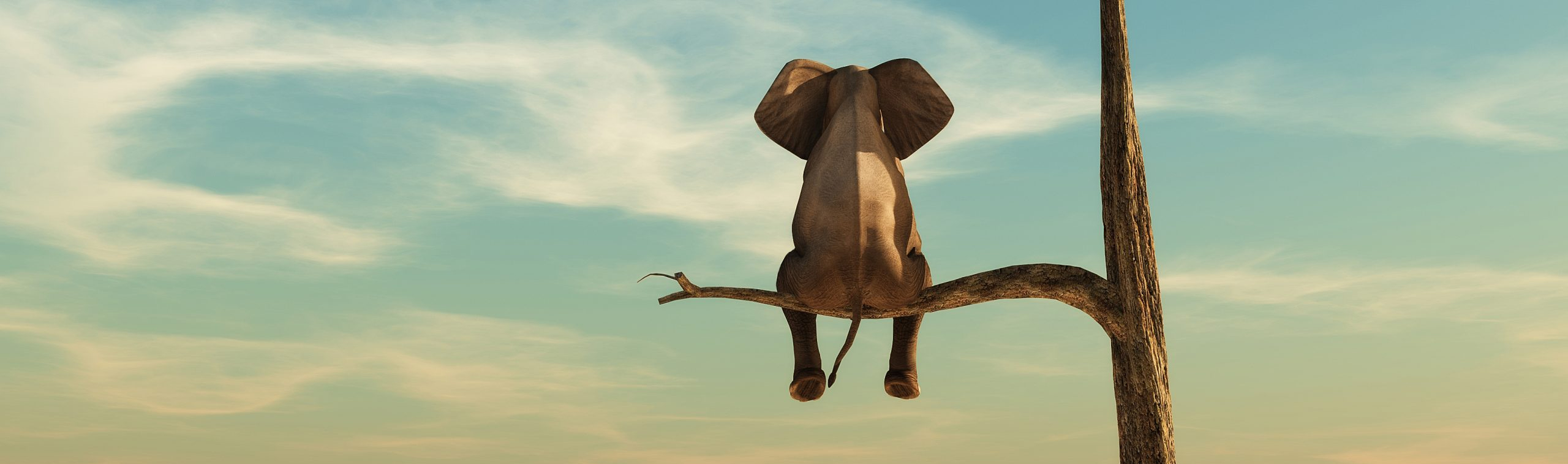User banner
