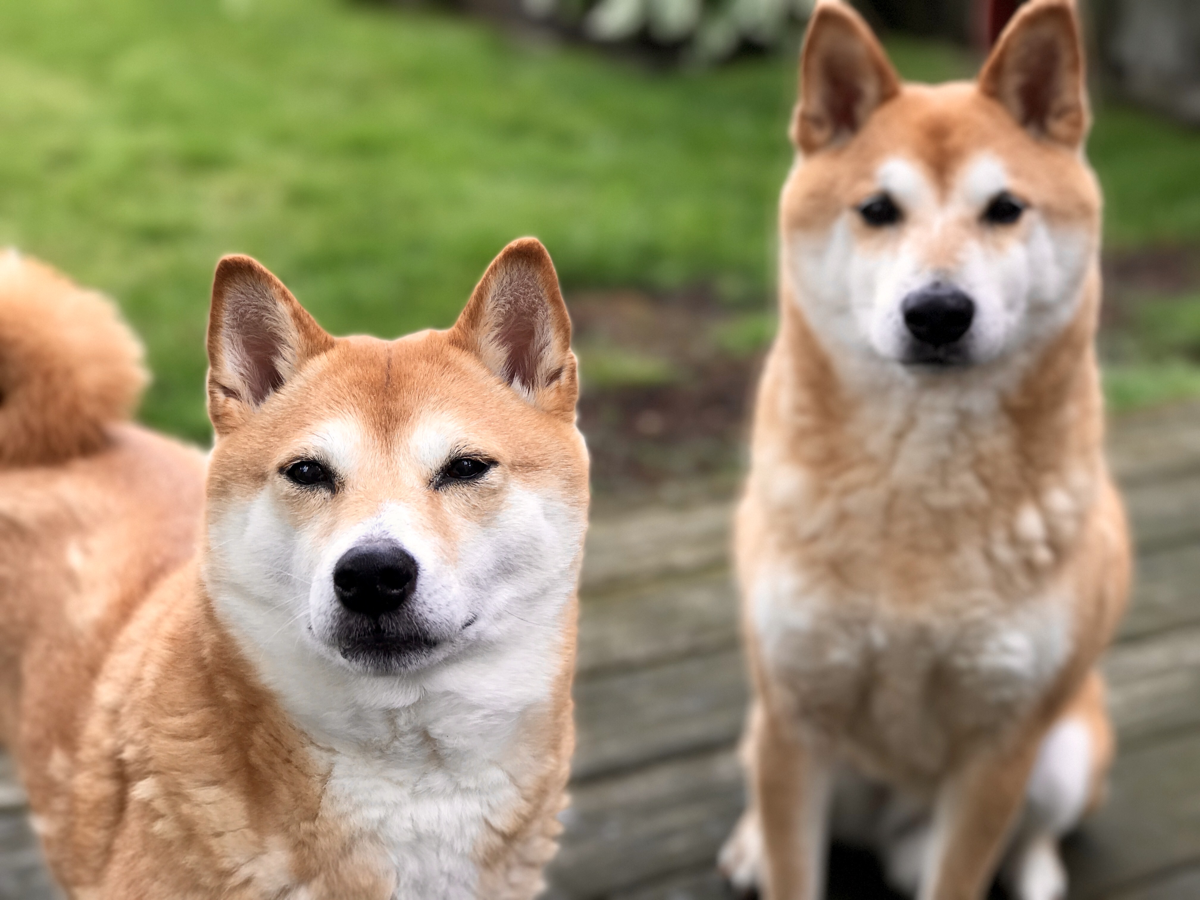 User banner
