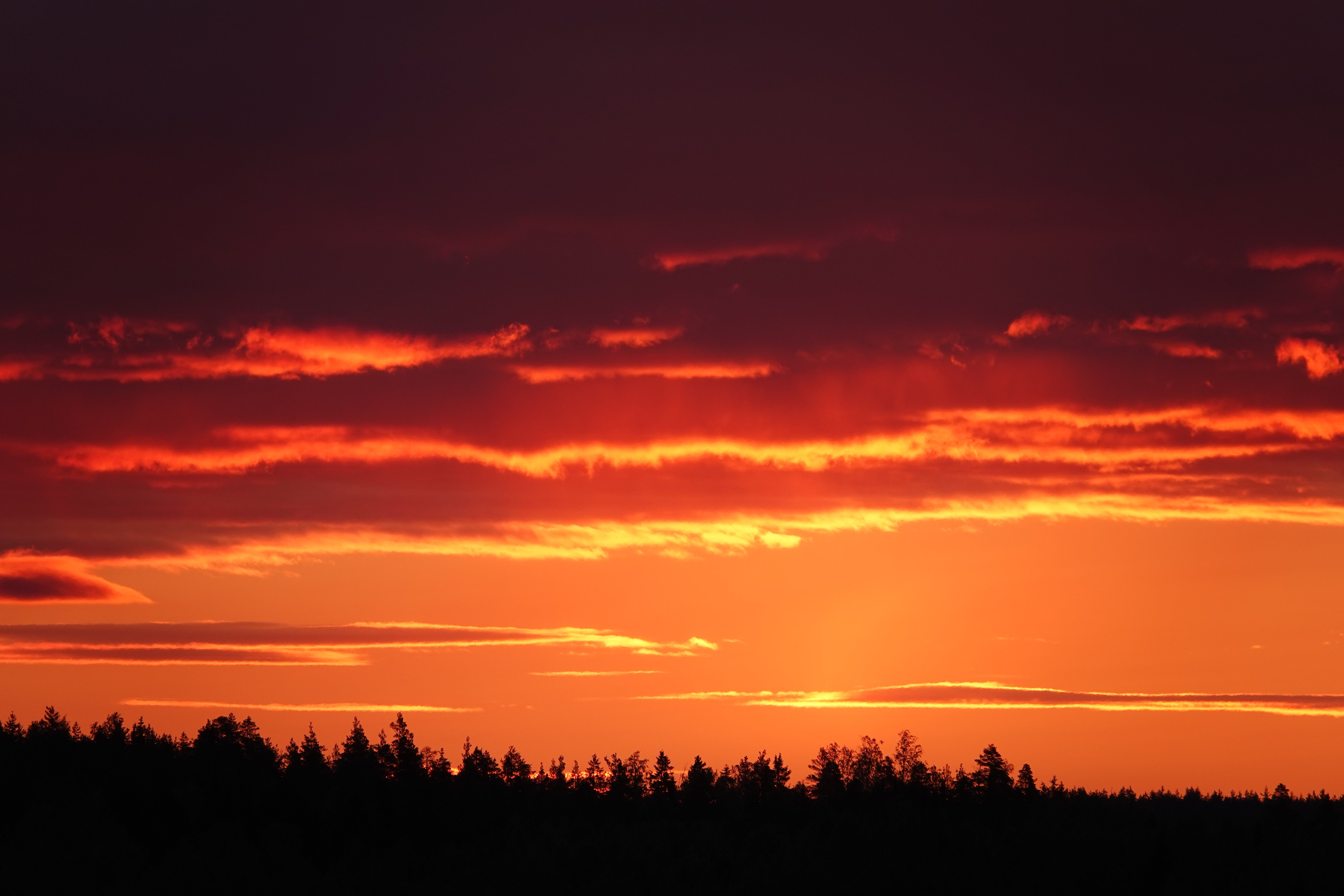 User banner