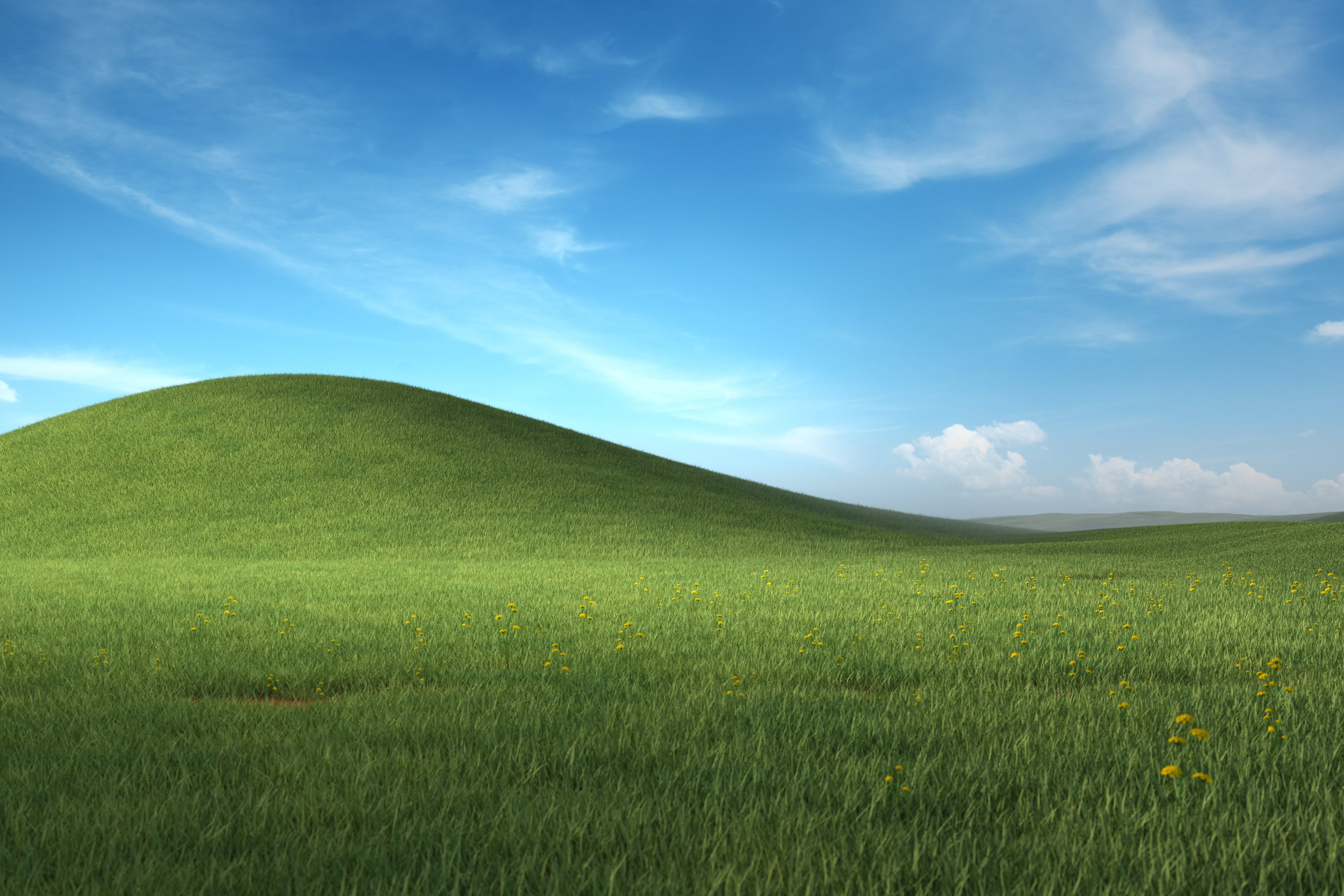 User banner