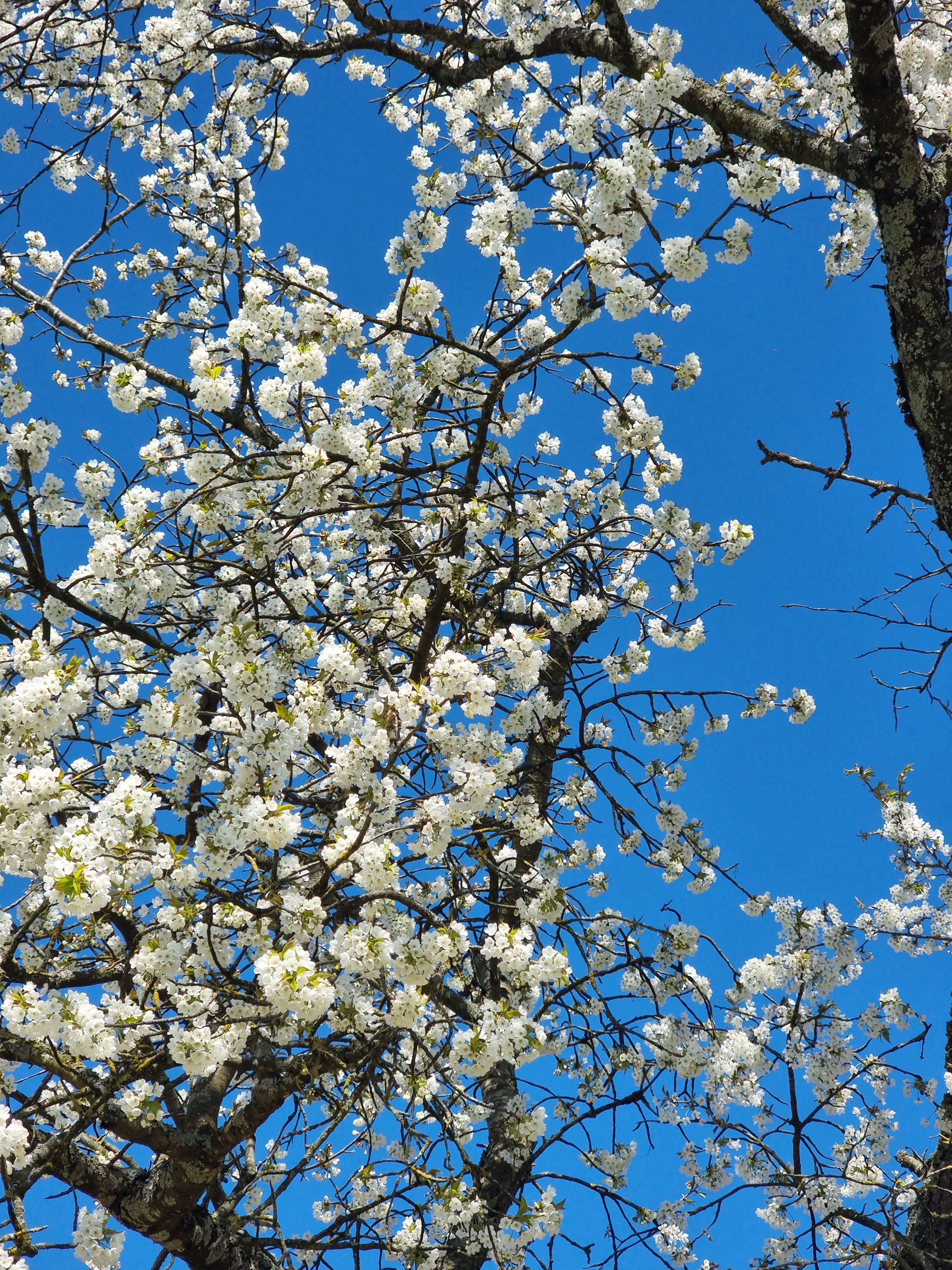 User banner
