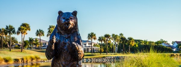 User banner