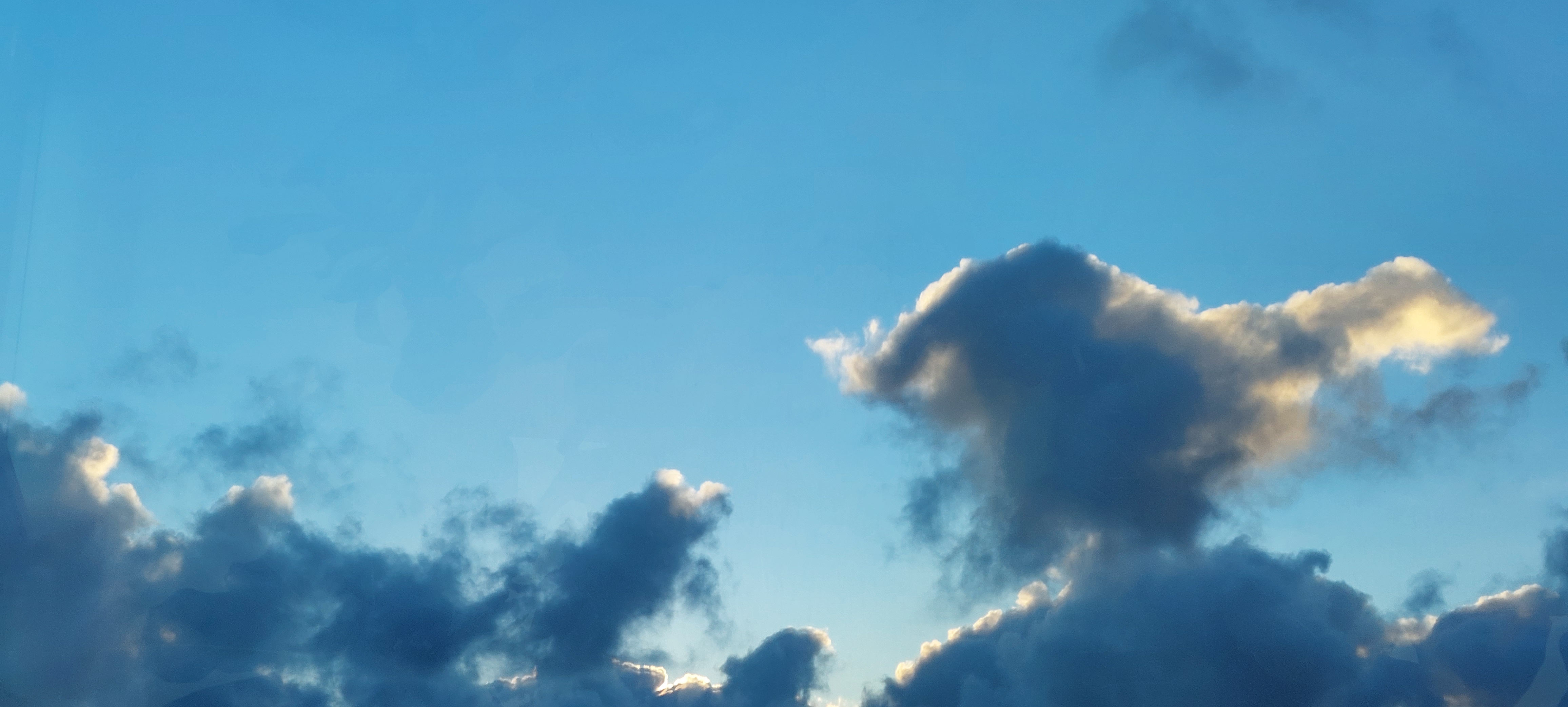 User banner