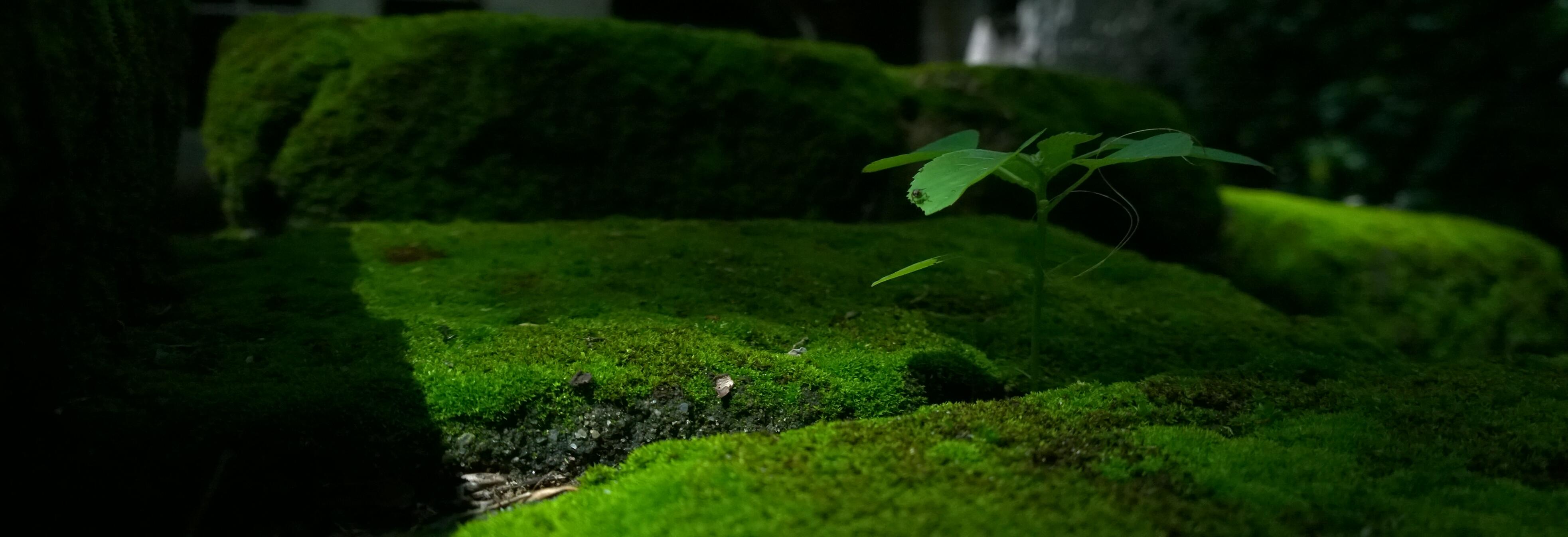 User banner