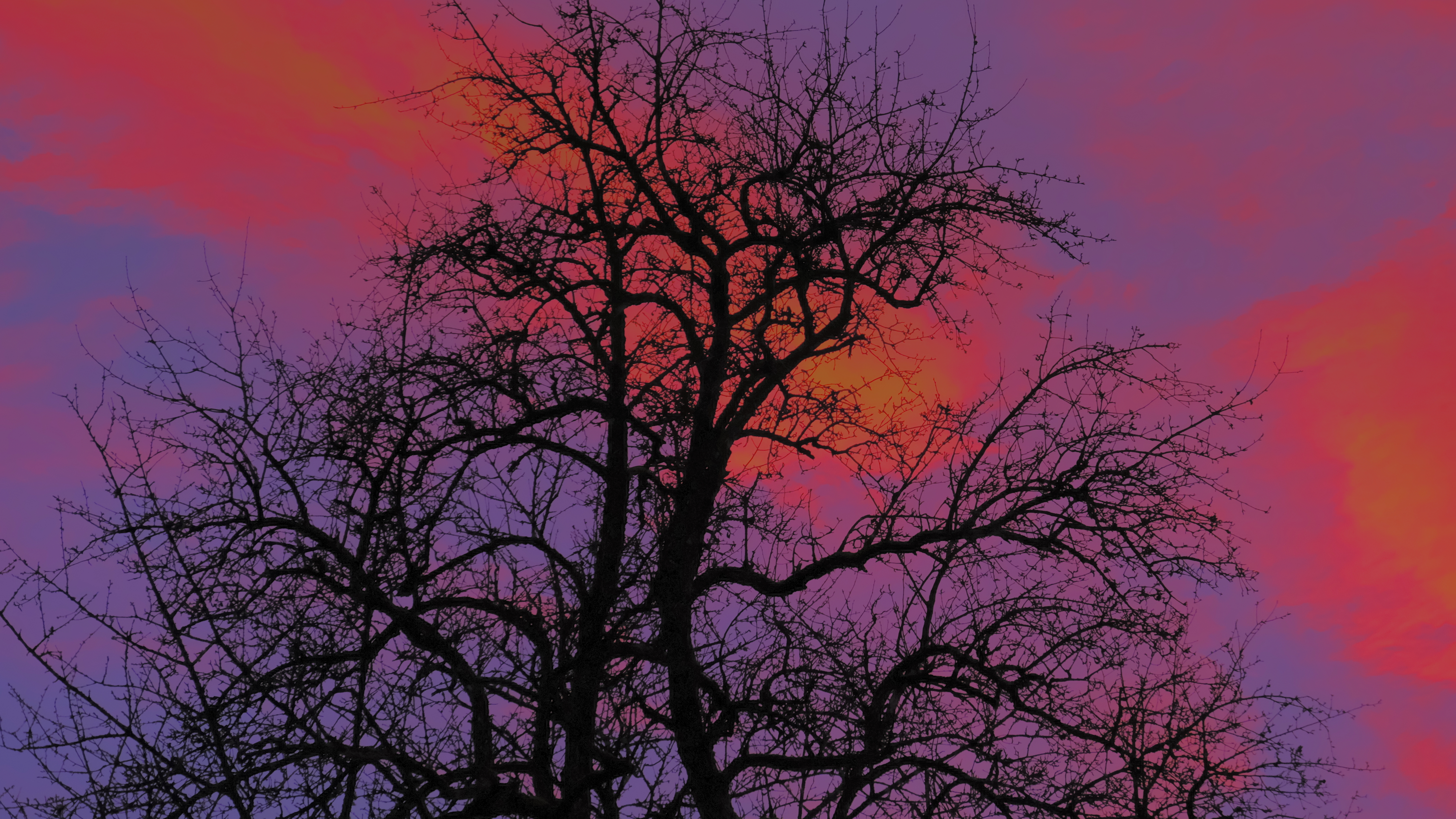 User banner