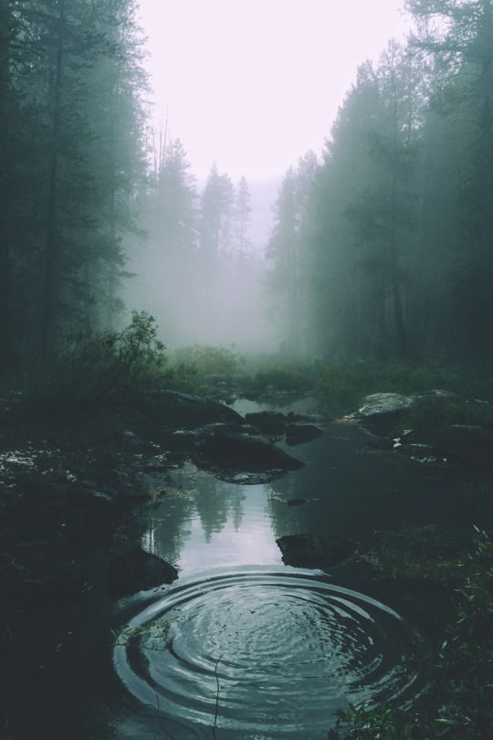 User banner