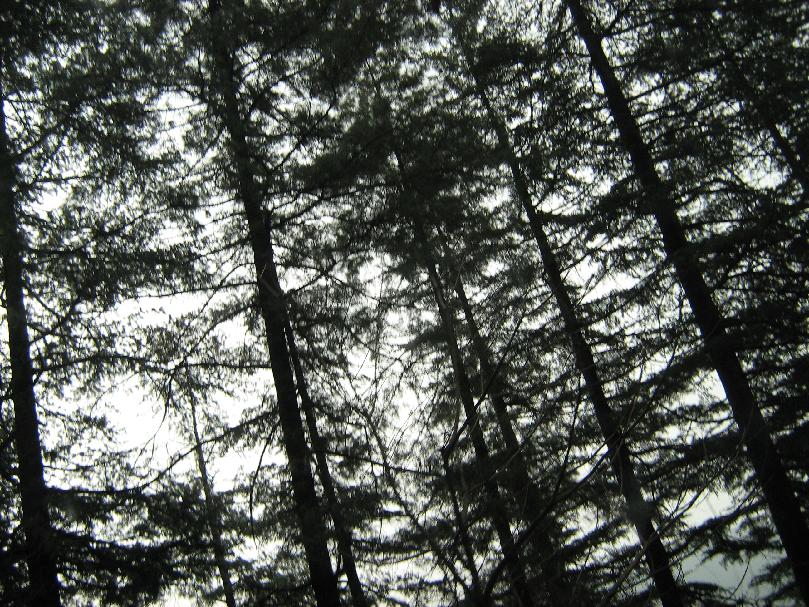 User banner