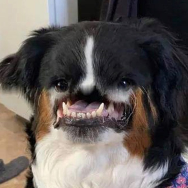 User banner