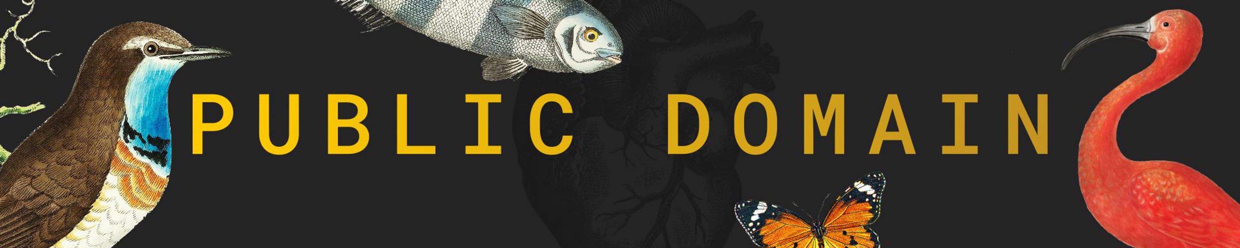 User banner