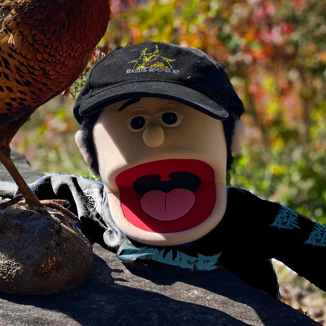 User banner