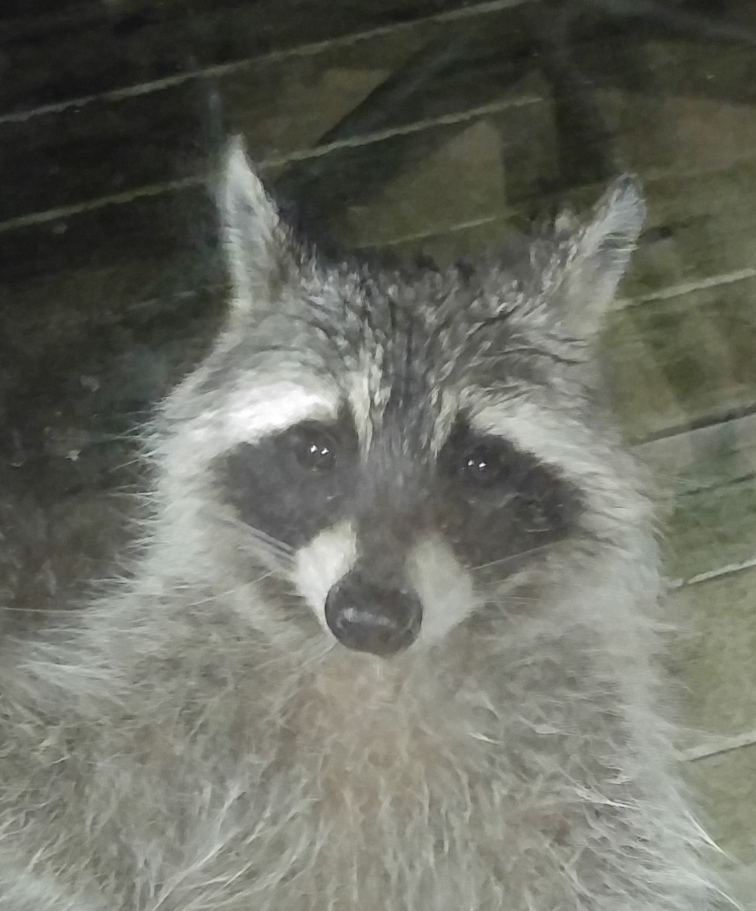 User banner