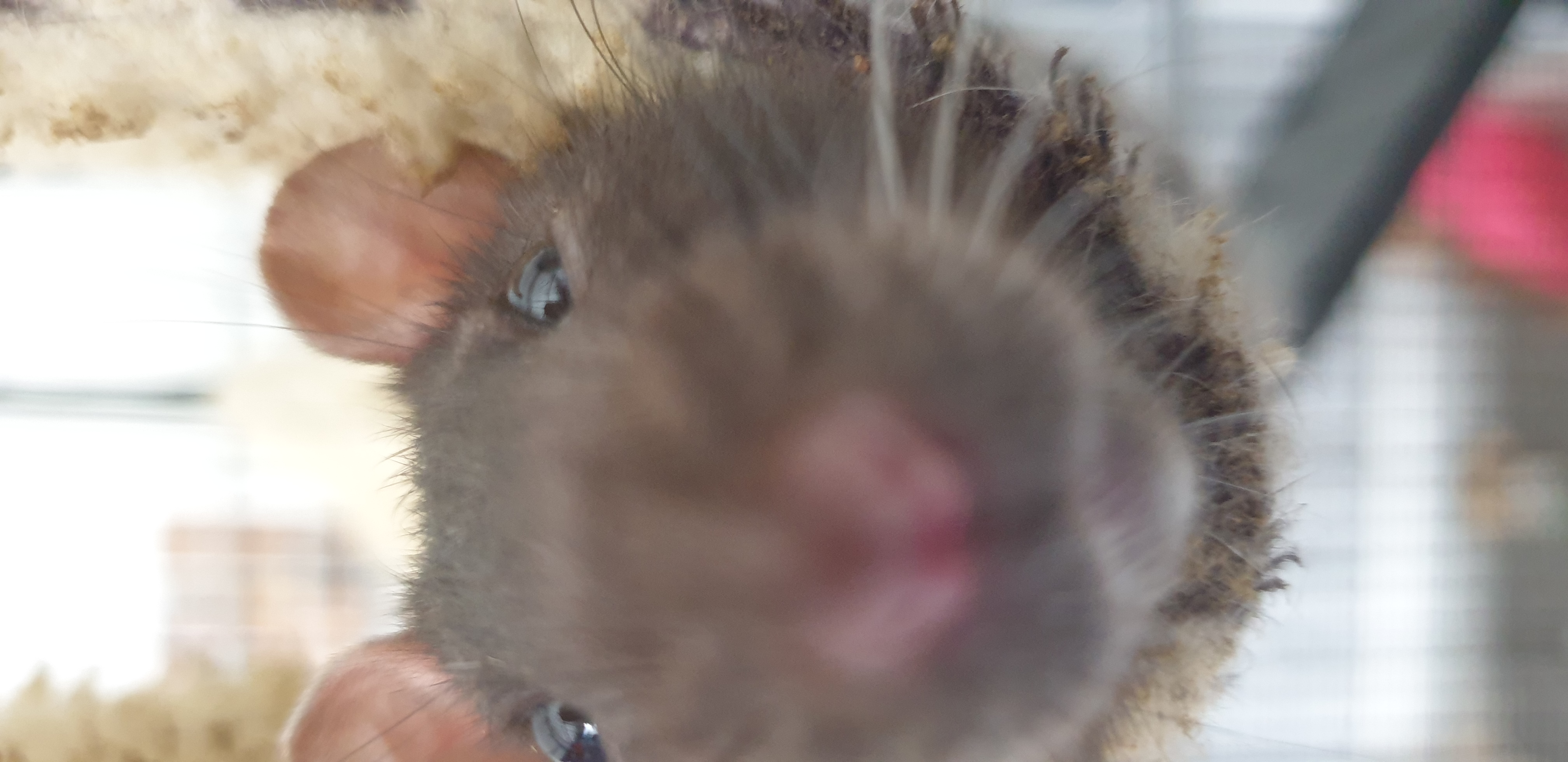 User banner