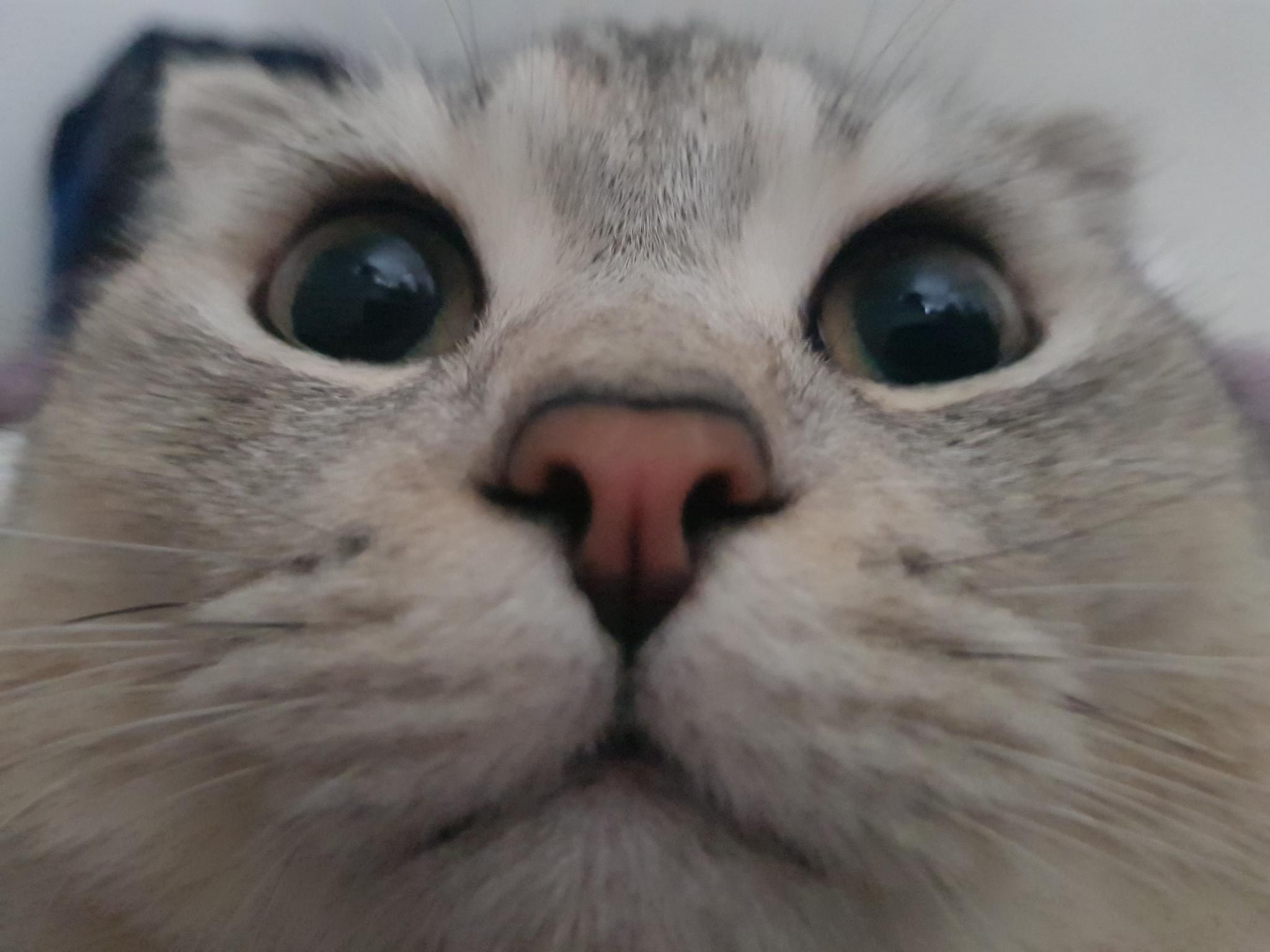 User banner