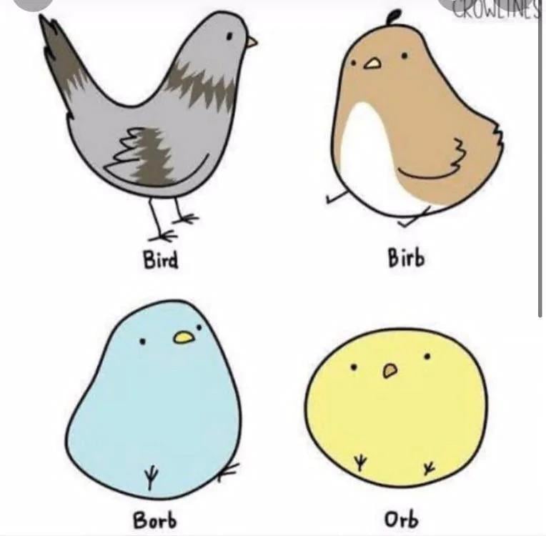 User banner