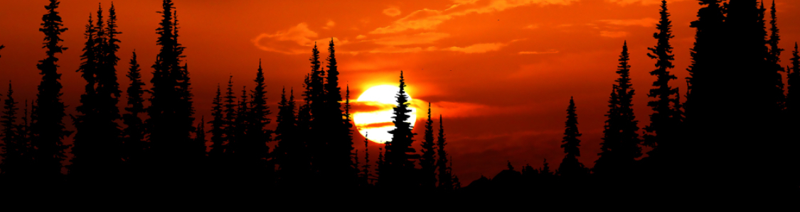 User banner