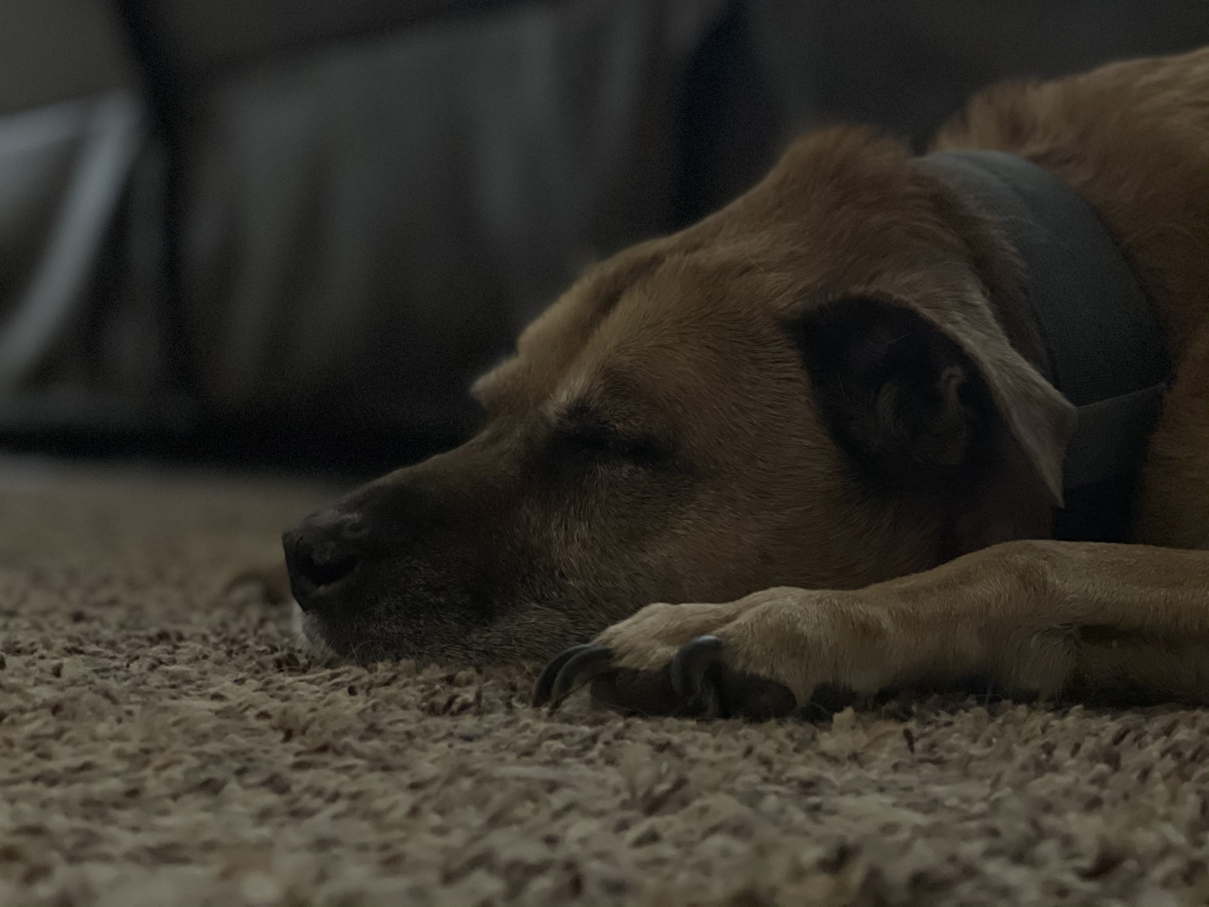 User banner