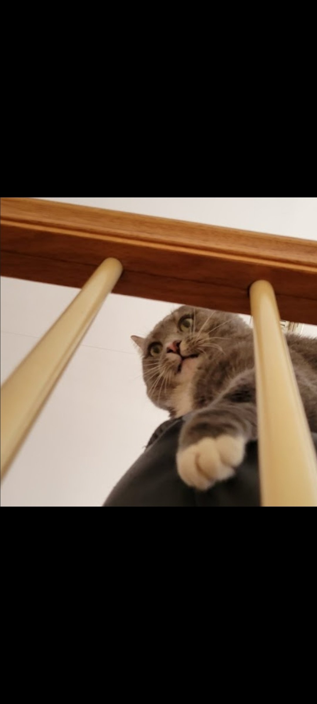 User banner
