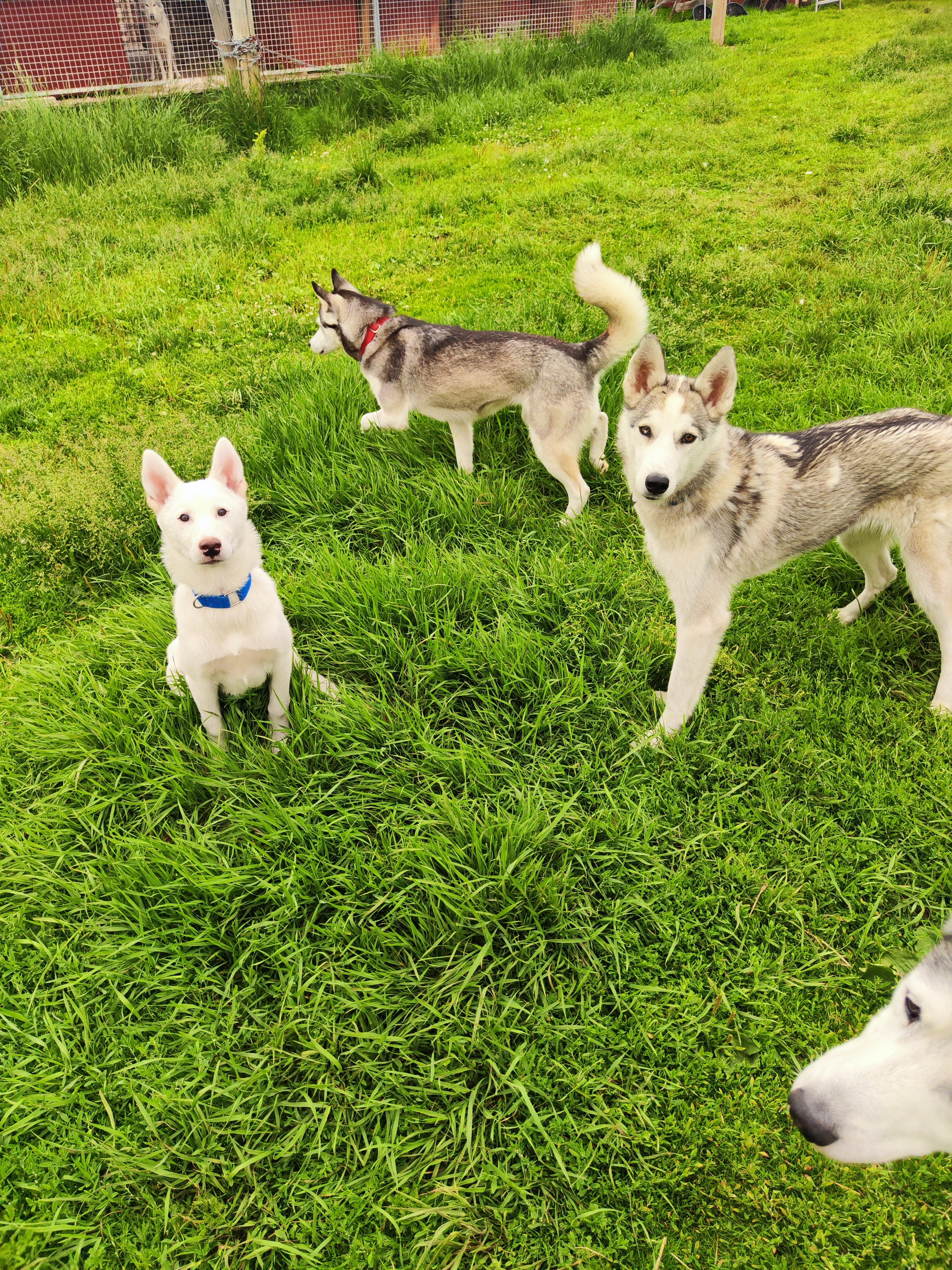 User banner